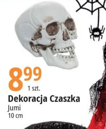 Dekoracja Czaszka