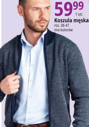 E.Leclerc Koszula męska oferta