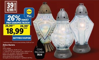 Lidl Znicz Aurora 1 szt. oferta