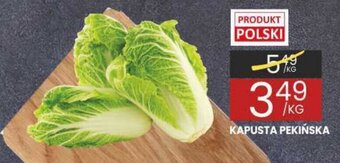 Wafelek KAPUSTA PEKIŃSKA 1 KG oferta