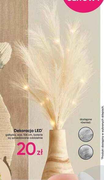 Pepco Dekoracja LED oferta