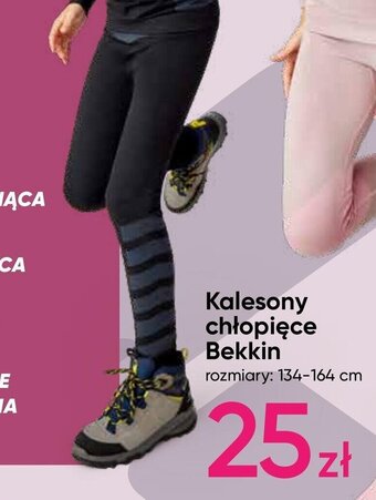 Pepco Kalesony chłopięce Bekkin oferta