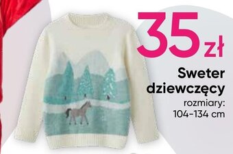 Pepco Sweter dziewczęcy oferta