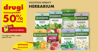 Biedronka WSZYSTKIE HERBATY HERBARIUM oferta