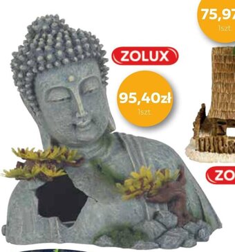 ZOLUX Dekoracja