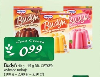Cezar Delikatesy Budyń 40 g -45 g oferta