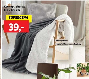 Lidl Koc typu sherpa 130 x 170 cm oferta