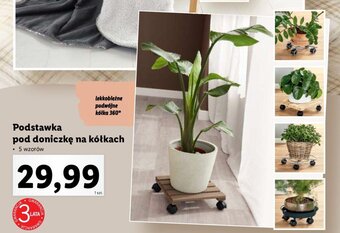 Podstawka pod doniczkę na kółkach