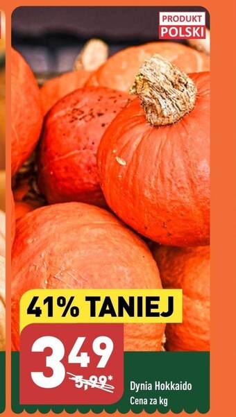 ALDI Dynia oferta