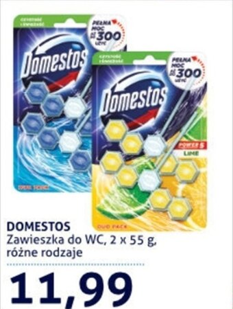 Blue Stop Zawieszka do wc domestos oferta