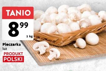 Intermarche Pieczarka luz 1 kg oferta