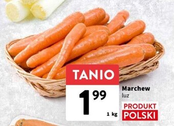Intermarche Marchew luz 1 kg oferta