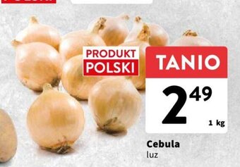 Intermarche Cebula luz 1 kg oferta