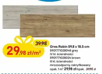 Castorama Gres Robin 59,8 x 18,5 cm oferta