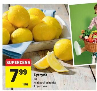 Intermarche Cytryna oferta