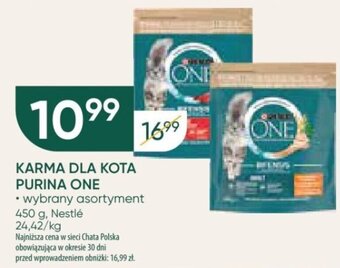 Chata Polska KARMA DLA KOTA PURINA ONE, 450 g oferta