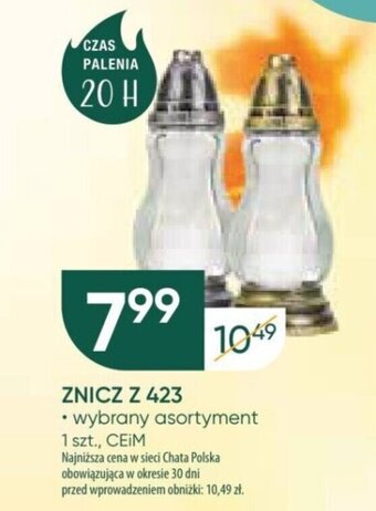 Chata Polska ZNICZ Z 423, 1 szt. oferta