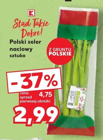 Polski seler naciowy sztuka