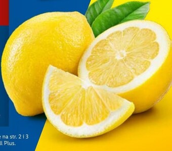 Lidl Cytryna oferta