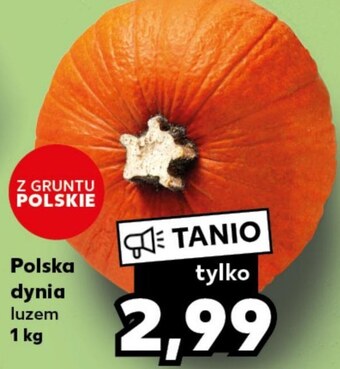 Kaufland Dynia oferta