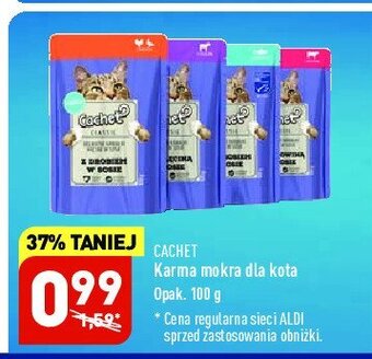 ALDI Karma dla kota ryba oferta