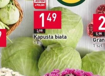 Stokrotka Kapusta biała 1 kg oferta