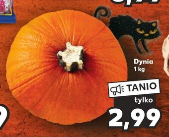 Kaufland Dynia 1 kg oferta