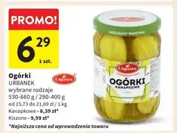 Dino Ogórki kanapkowe oferta