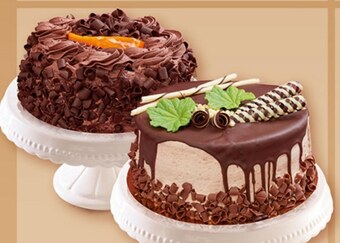 Auchan Tort oferta
