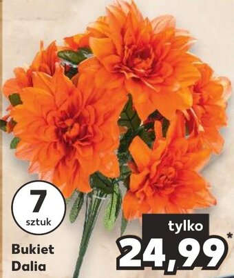 Kaufland Bukiet Dalia oferta