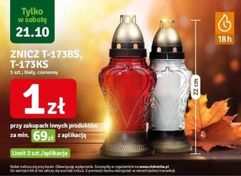 Stokrotka ZNICZ T-173BS, T-173KS przy zakupach za min 69zł oferta