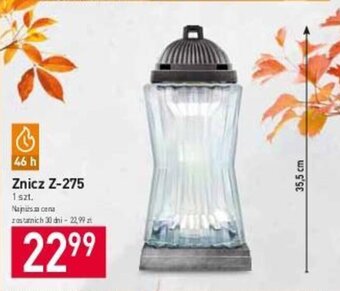 Stokrotka Znicz Z-275 1 szt. oferta