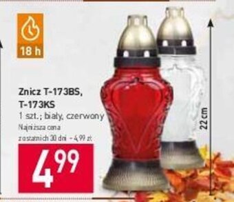 Stokrotka Znicz T-17385, T-173KS oferta