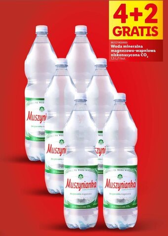 Lidl MUSZYNIANKA Woda mineralna magnezowo-wapniowa niskonasycona CO₂, 1 l oferta