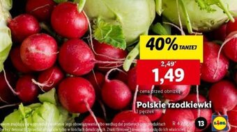 Lidl Polskie rzodkiewki 1 pęczek oferta