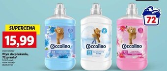 Lidl COCCOLINO Płyn do płukania, 72 prania 1,8l oferta