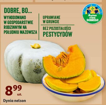 Auchan Dynia nelson oferta