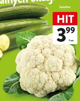 Intermarche Kalafior 1szt. oferta
