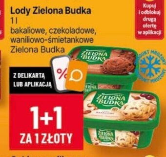 Delikatesy Centrum Lody Zielona Budka 1l oferta