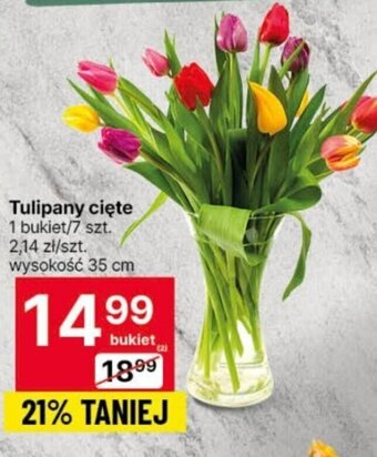 Delikatesy Centrum Tulipany cięte 7 szt. oferta