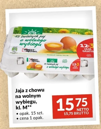 Makro Jaja oferta