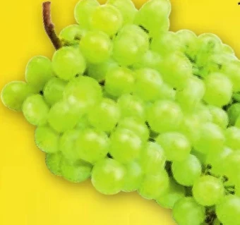 Netto Winogrona oferta