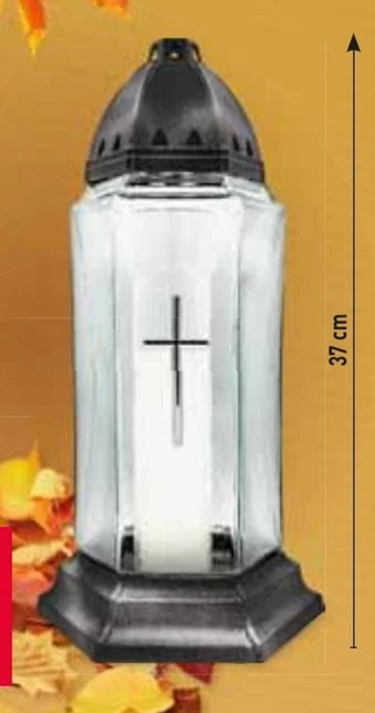 Stokrotka Market Znicz oferta