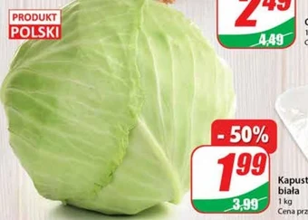 Dino Kapusta biała oferta