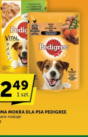Groszek Mokra karma dla kota oferta