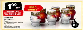 Netto Znicz mini oferta