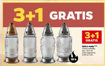 Netto Znicz mały oferta