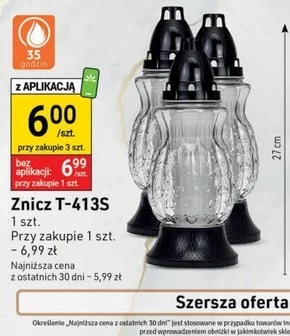 Stokrotka Optima Znicz oferta