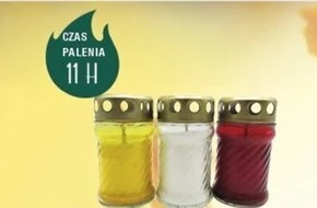 Chata Polska Znicz oferta