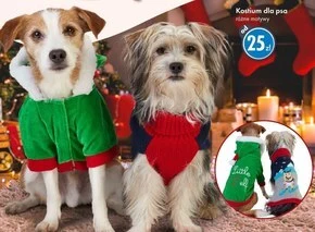 Tedi Ubranko dla psa oferta